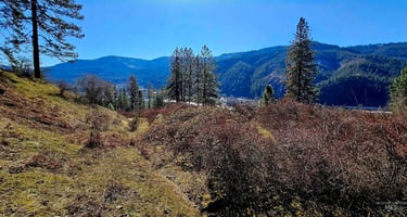 31734314