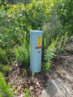 31726694