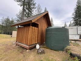 31729342