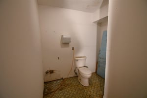 31729882