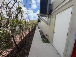 31732908