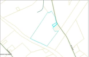 31733382