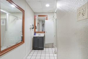 31733638