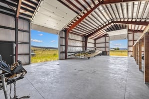 31733769