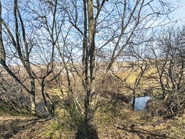 31734640