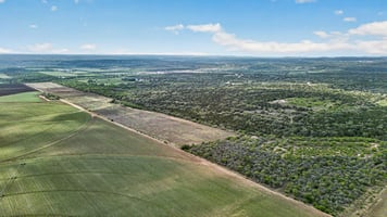 31736242
