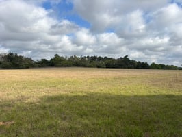 31736676