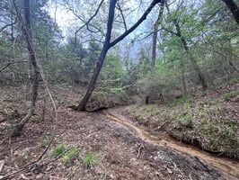 31736681
