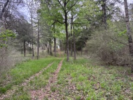 31736680