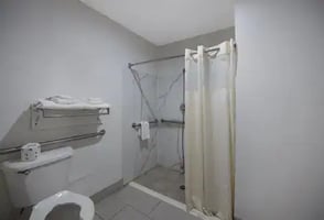 31737069