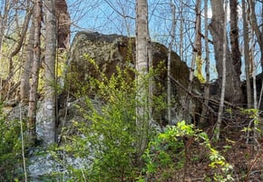 31738549