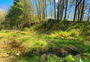 31738550