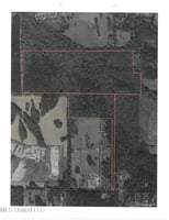 31738992