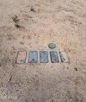31745974