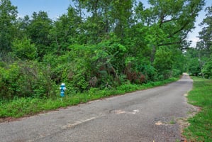31741086