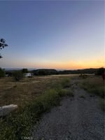 31744981