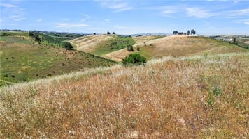 31759602