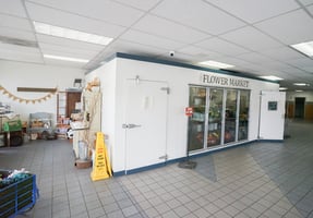 31745561