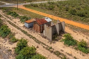 31746751
