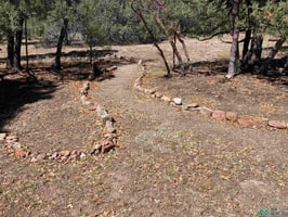 31749171