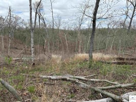 31749240