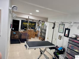 31749298