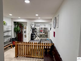 31749296