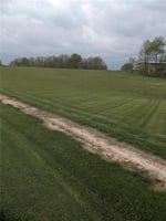 31750363