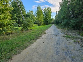 31993445