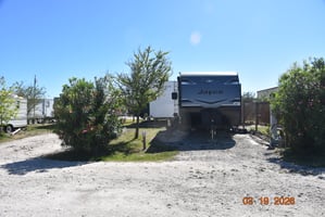 31750667