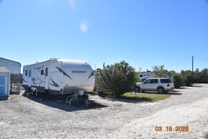 31750663