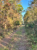 31751213