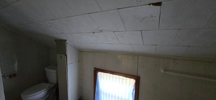 31753781