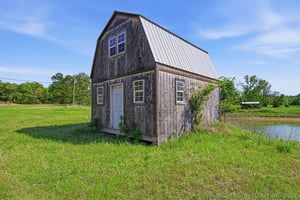 31754969