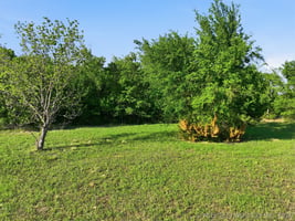 31755068