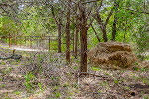 31756440