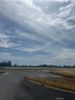 31759954