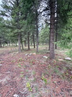 31760677