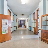 31761853