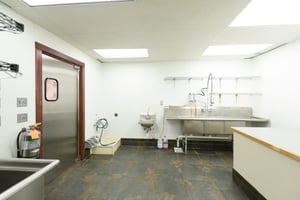 31798076