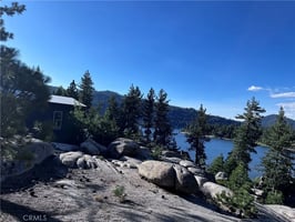 31765402