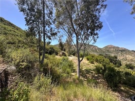 31765420