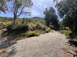 31765425