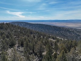 31766185