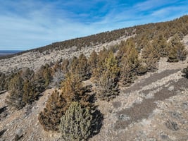 31766180
