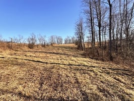 31766246