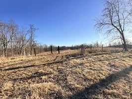 31766256