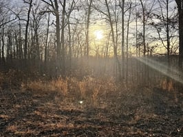 31766269