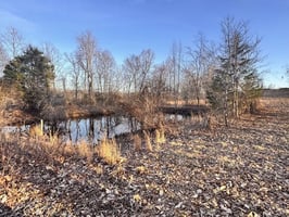 31766261