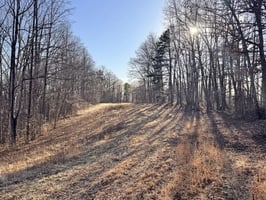 31766249